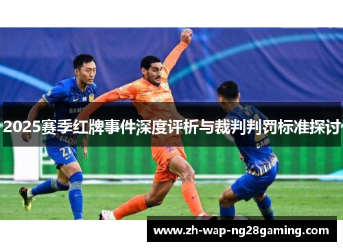 2025赛季红牌事件深度评析与裁判判罚标准探讨