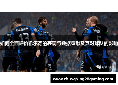 如何全面评价希尔德的表现与数据贡献及其对球队的影响
