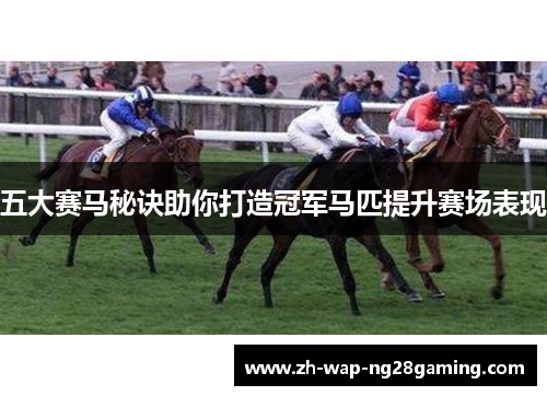 五大赛马秘诀助你打造冠军马匹提升赛场表现