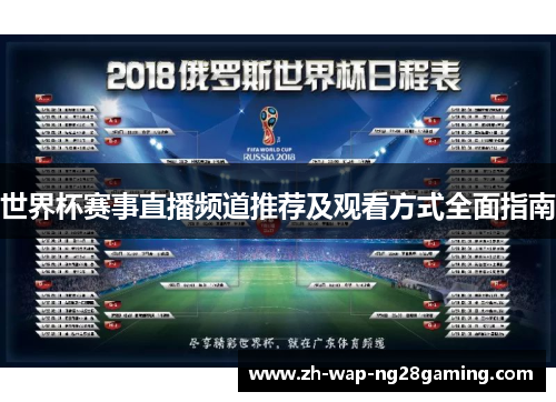 世界杯赛事直播频道推荐及观看方式全面指南