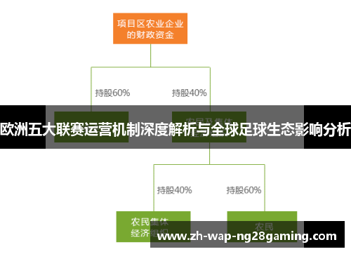 欧洲五大联赛运营机制深度解析与全球足球生态影响分析