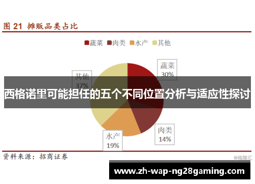 西格诺里可能担任的五个不同位置分析与适应性探讨
