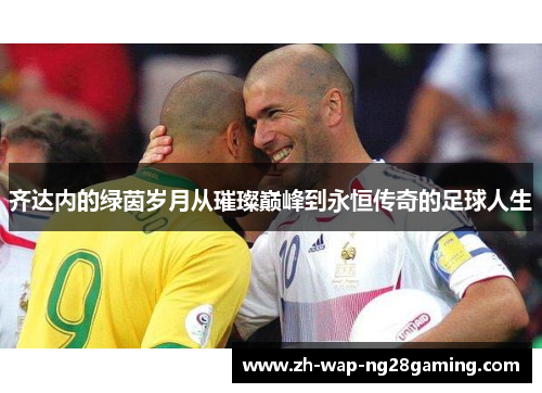 齐达内的绿茵岁月从璀璨巅峰到永恒传奇的足球人生