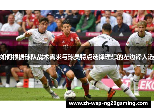 如何根据球队战术需求与球员特点选择理想的左边锋人选