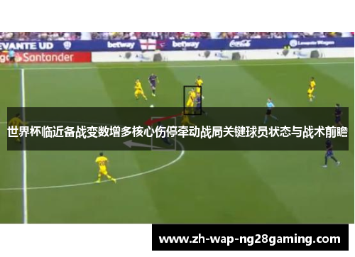 世界杯临近备战变数增多核心伤停牵动战局关键球员状态与战术前瞻
