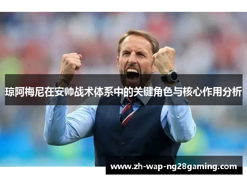 琼阿梅尼在安帅战术体系中的关键角色与核心作用分析