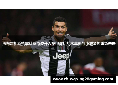 法布雷加斯执掌科莫奇迹升入意甲背后战术革新与小城梦想重燃未来