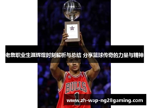 老詹职业生涯辉煌时刻解析与总结 分享篮球传奇的力量与精神