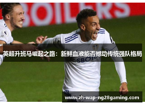 英超升班马崛起之路：新鲜血液能否撼动传统强队格局