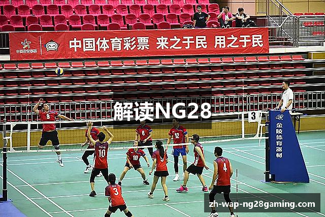 解读NG28